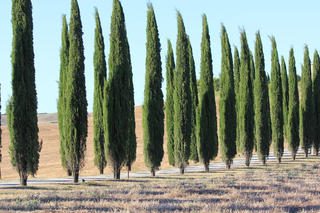 Apartamento La Terrazza Sulla Val D'Orcia Castiglione dʼOrcia Exterior foto