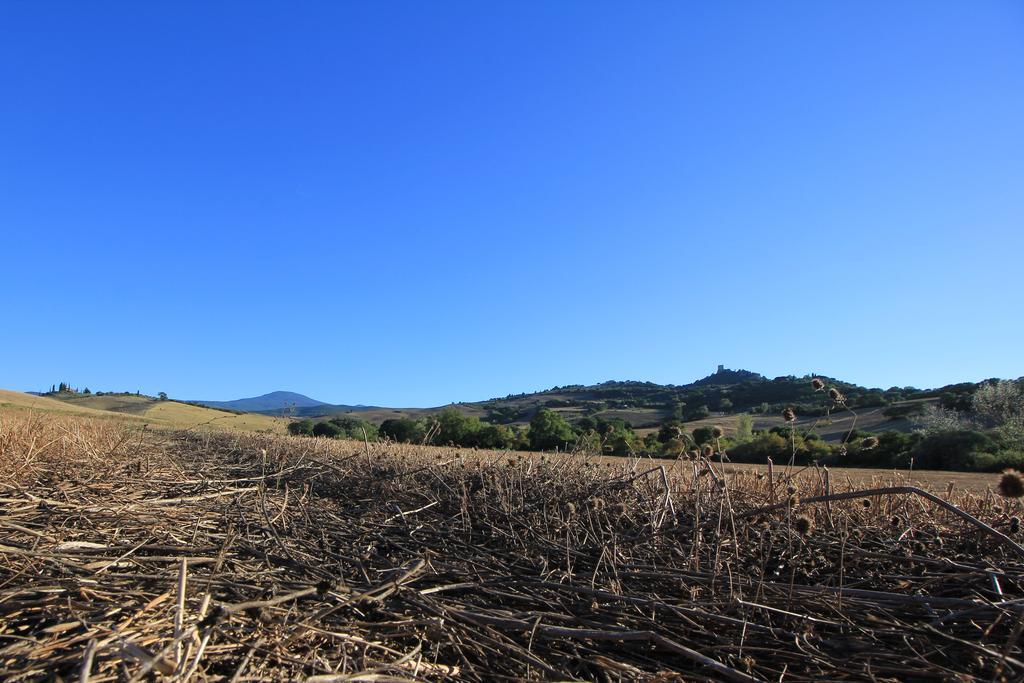 Apartamento La Terrazza Sulla Val D'Orcia Castiglione dʼOrcia Exterior foto