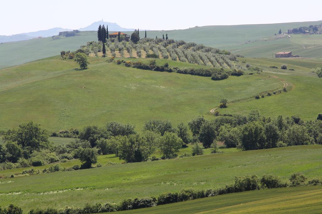 Apartamento La Terrazza Sulla Val D'Orcia Castiglione dʼOrcia Exterior foto